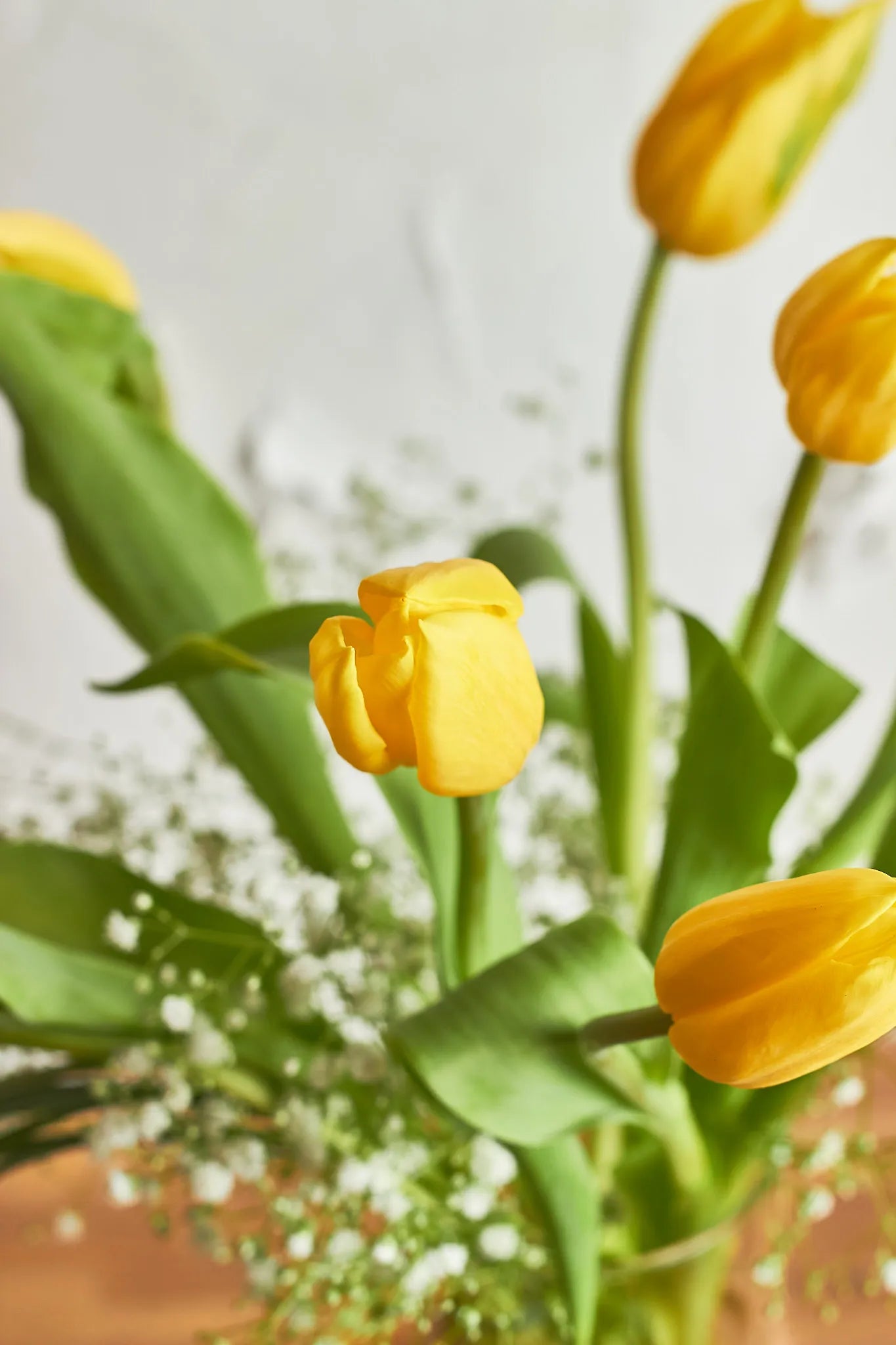 Tulip Delight - Mahua Floral Studio