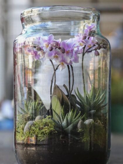 Terrarium Workshop