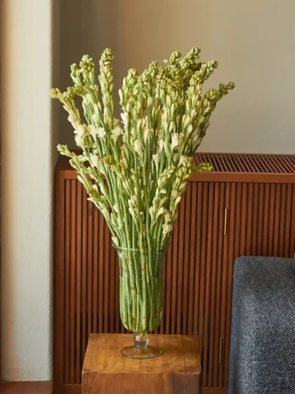 Rajnigandhas in a Vase