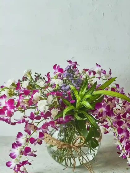 Orchids Galore