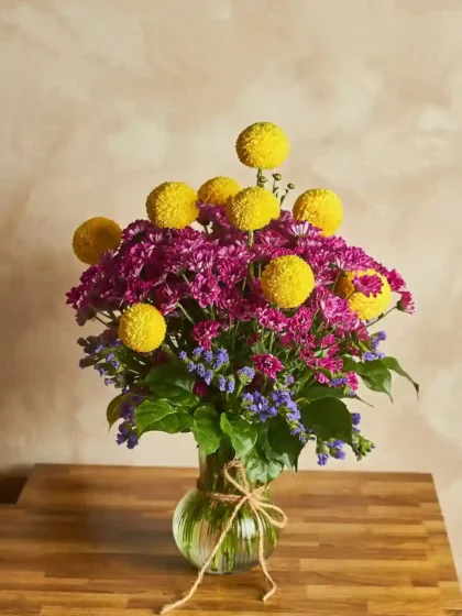 Pom-Pom Party